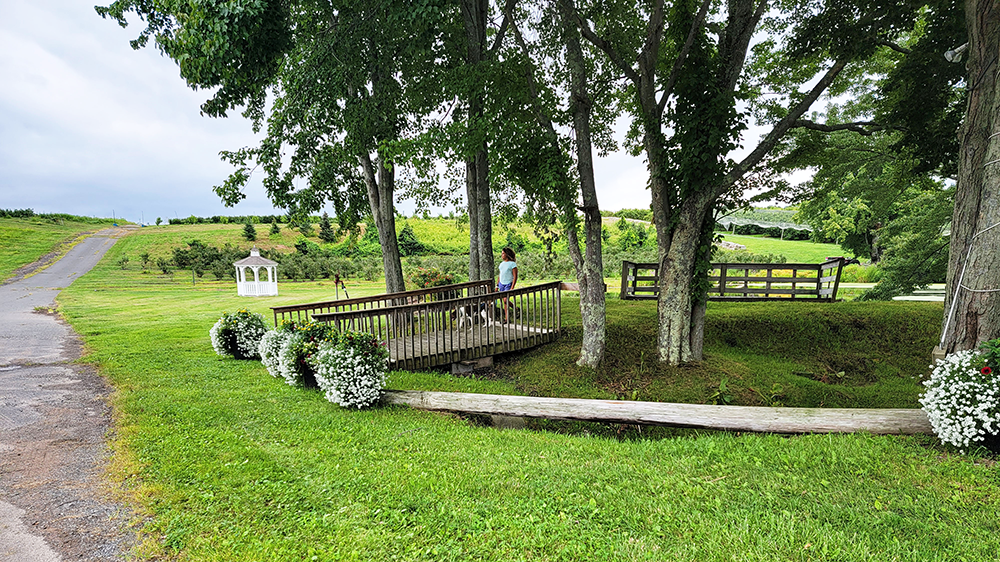 Gallery collage photo